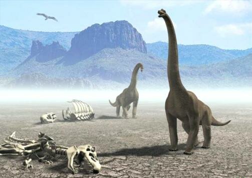 Вымирание доисторических животных - как результат падения астероида