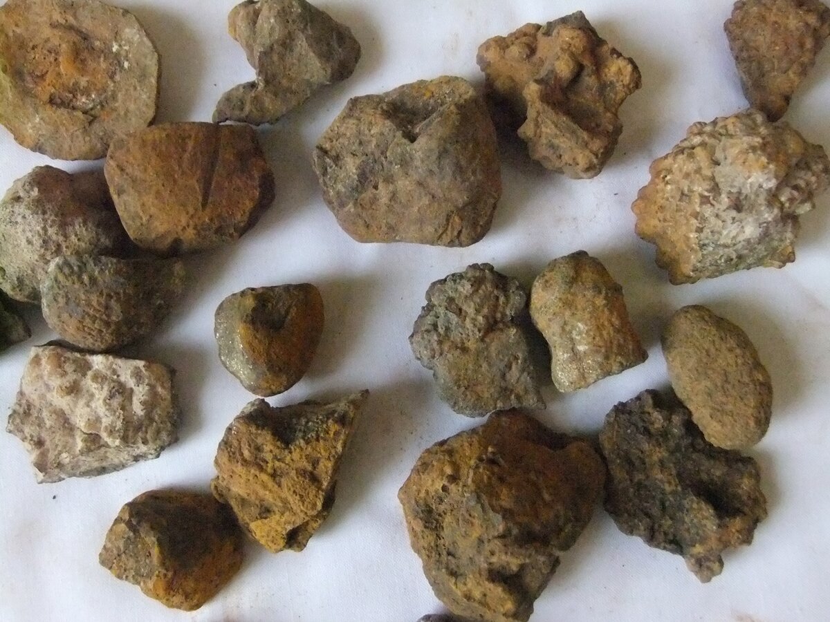 Коллекция метеоритов